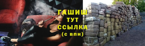 стаф Балахна