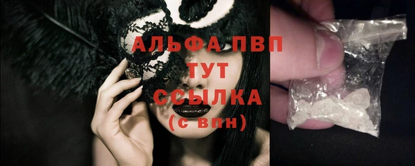 стаф Балахна
