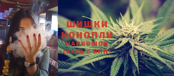 стаф Балахна