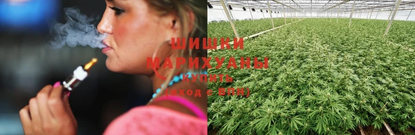 spice Рославль