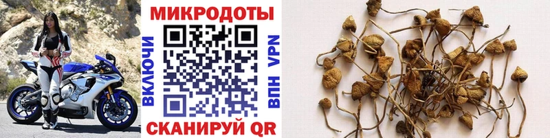Галлюциногенные грибы мухоморы  kraken ONION  Болотное 